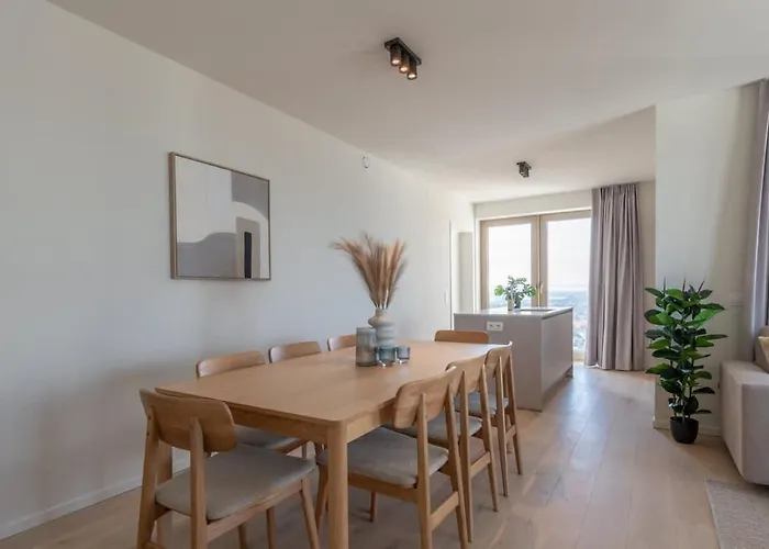 With Breathtaking Sea Views And Balcony 公寓 奥斯滕德