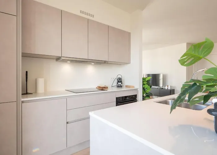 With Breathtaking Sea Views And Balcony 公寓 奥斯滕德